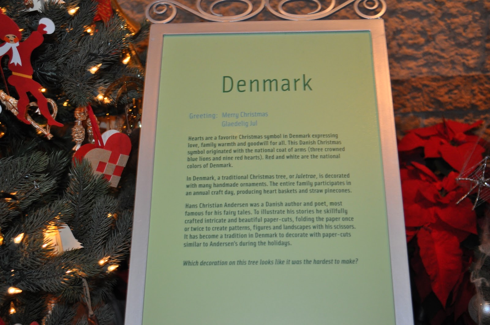 Michigan Cottage Cook Christmas Trees From Denmark And Belize