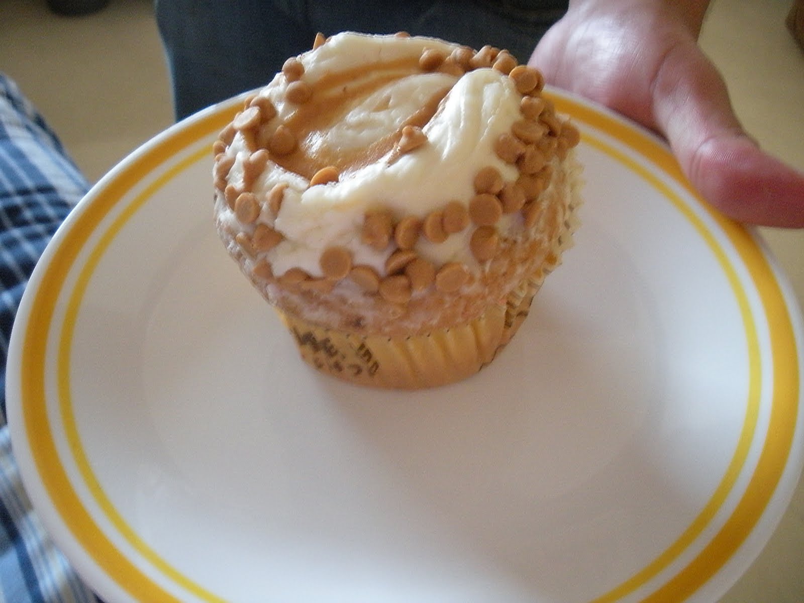 [DSCN0380.JPG]