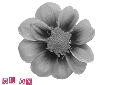 Free CU Digital Flower Flower4template+copy