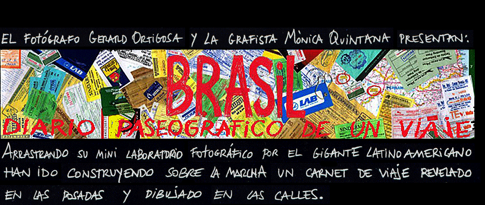 brasil diaro paseografico