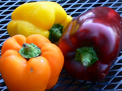 Home grown peppers