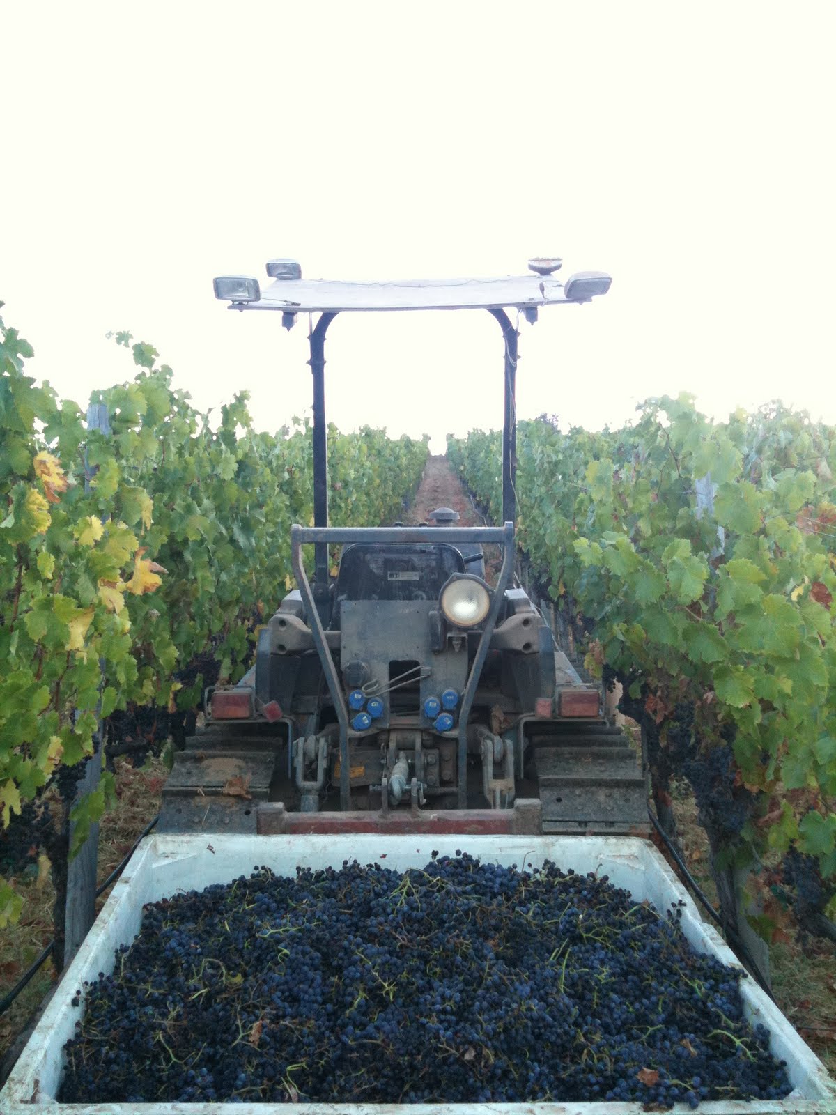 Napa Valley Weather In Mid October