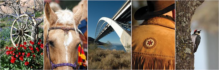 A Selection of Images