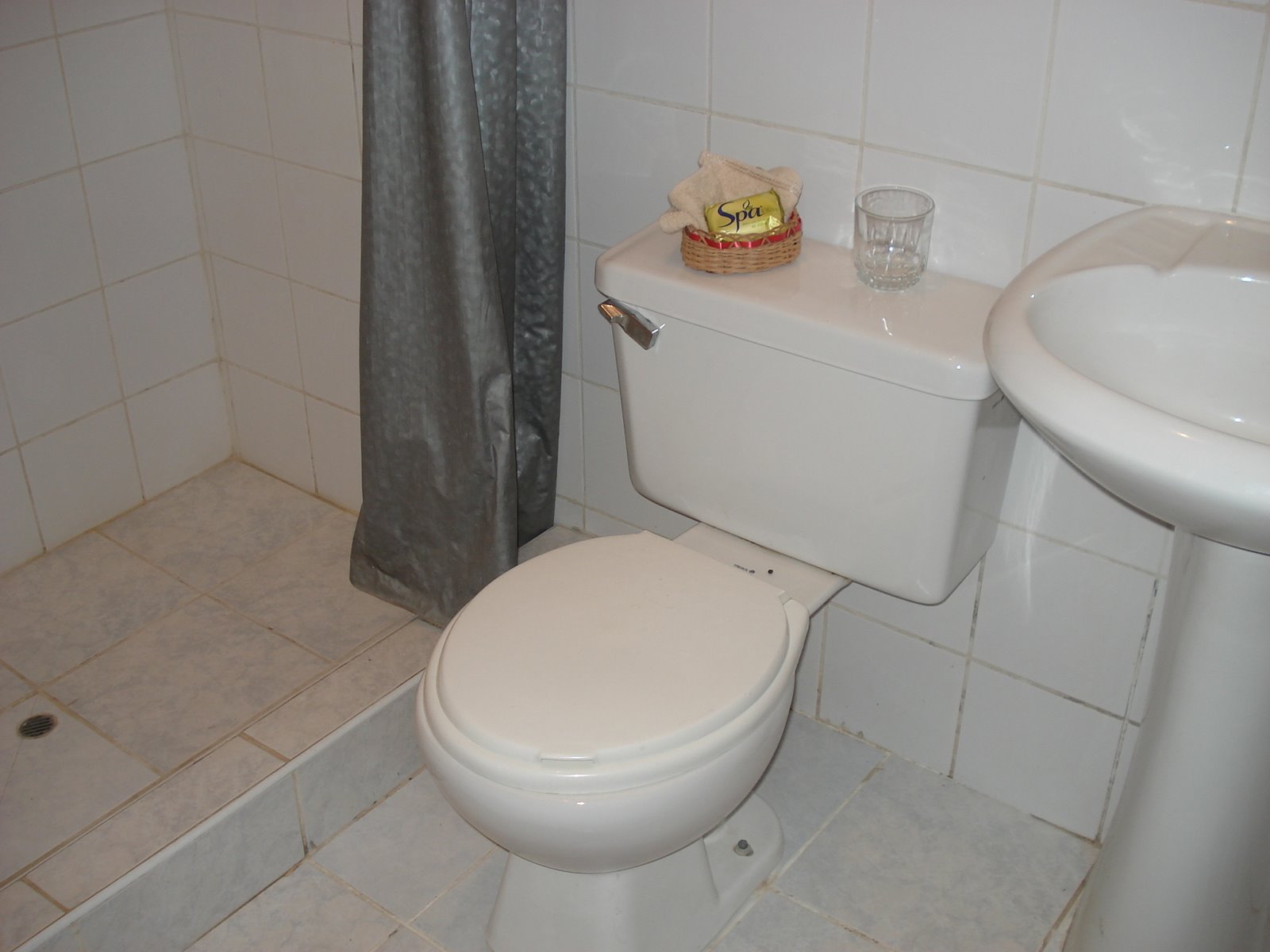 [DSC01133.JPG]