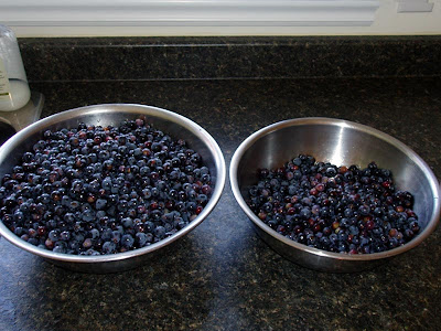 After cleaning, this is how many grapes were left by the birds for us.