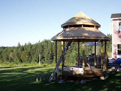 Almost all the plywood is down for both roofs so shingling should start soon, I hope.
