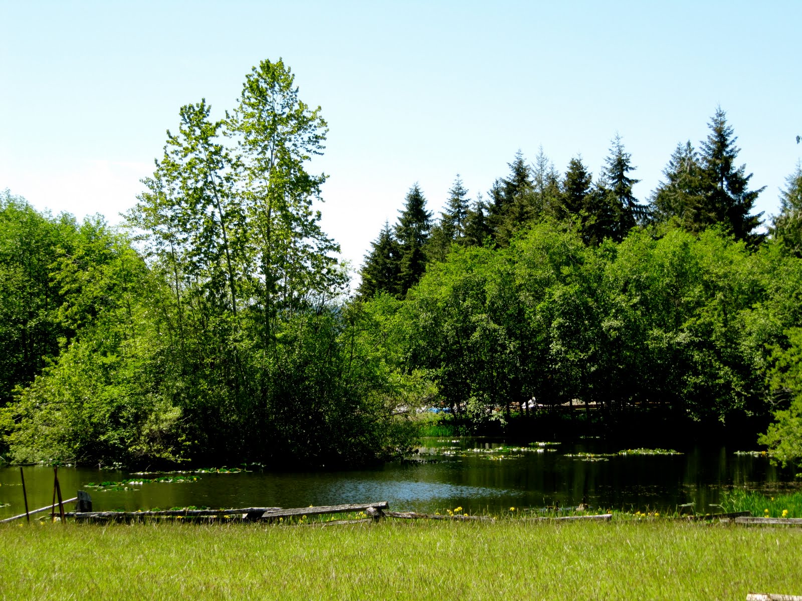 Our Ecovillage
