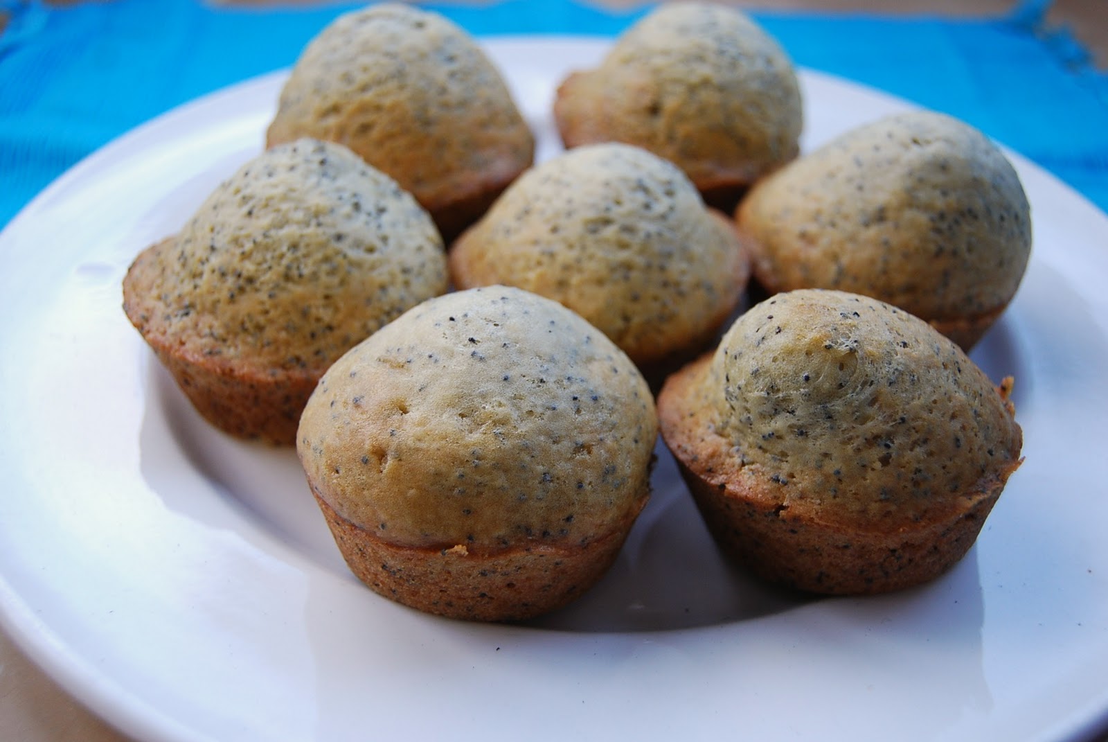 Kirsten's Kitchen of vegan creations Lemon poppy seed cupcakes