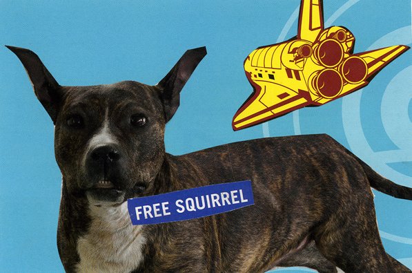 [squirrel.jpg]