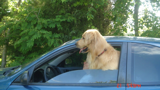 Toby prefers to drive himself