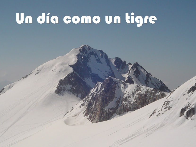 Un día como un tigre