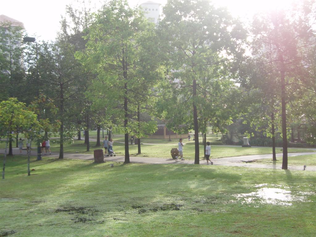 [P1017166+(Large).JPG]