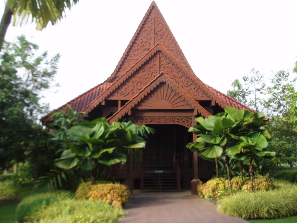 [P1017168+(Large).JPG]