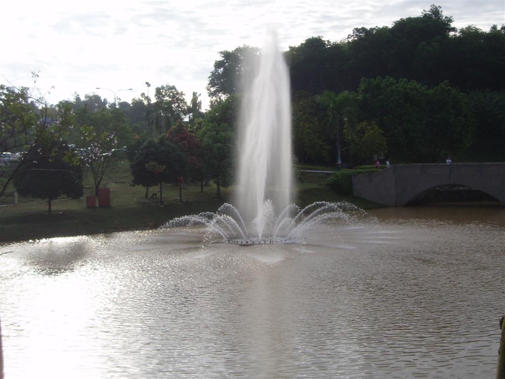 [P1017170+(Large).JPG]