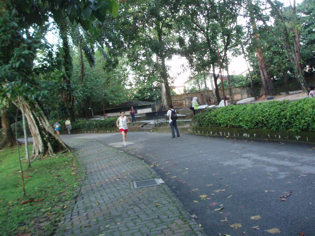 [P1017137+(Large).JPG]