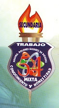 Escuela Secundaria No.54