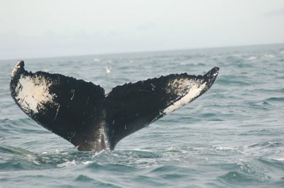 [DSC_2265.jpg]