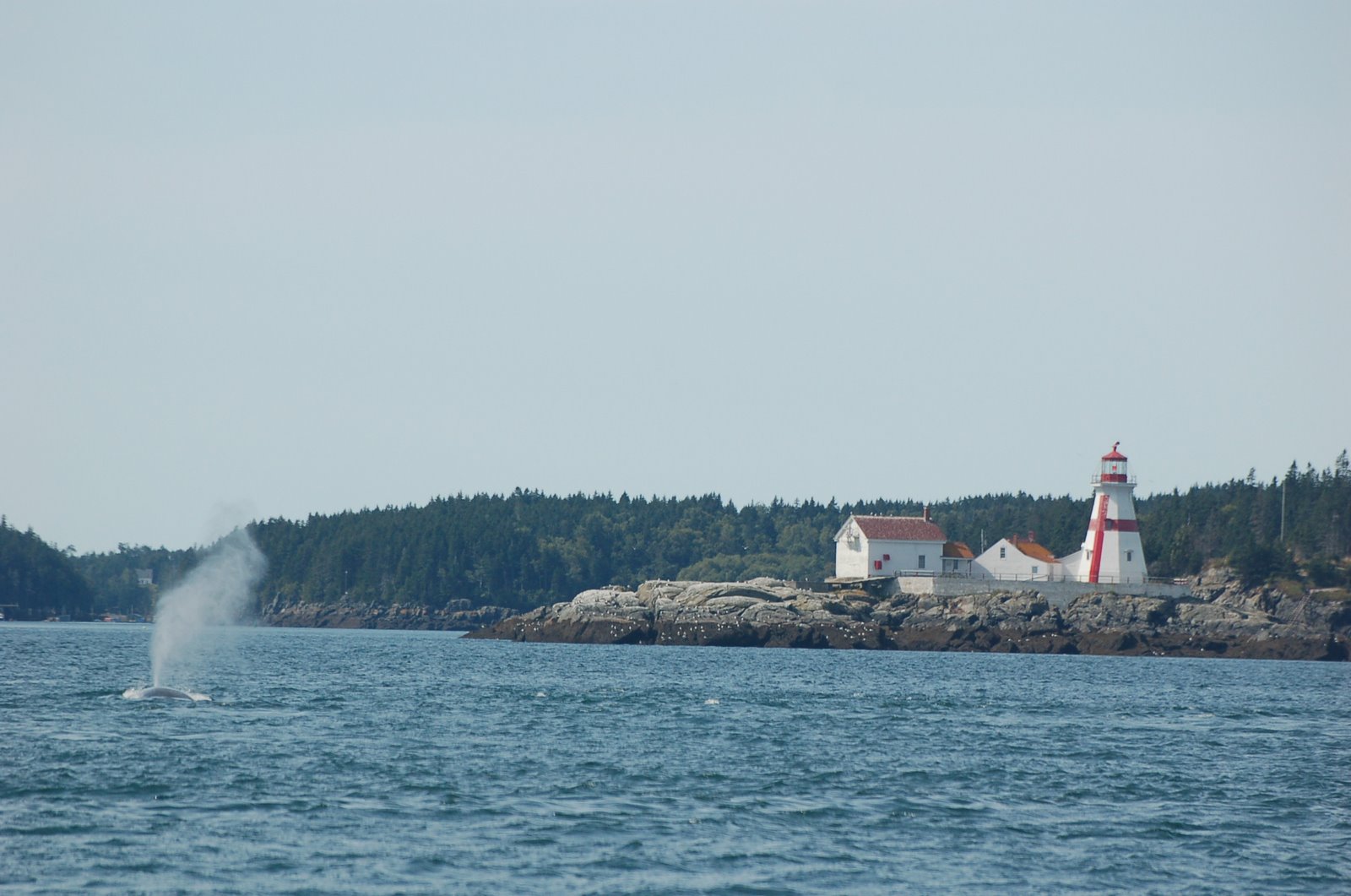 [DSC_1357.JPG]