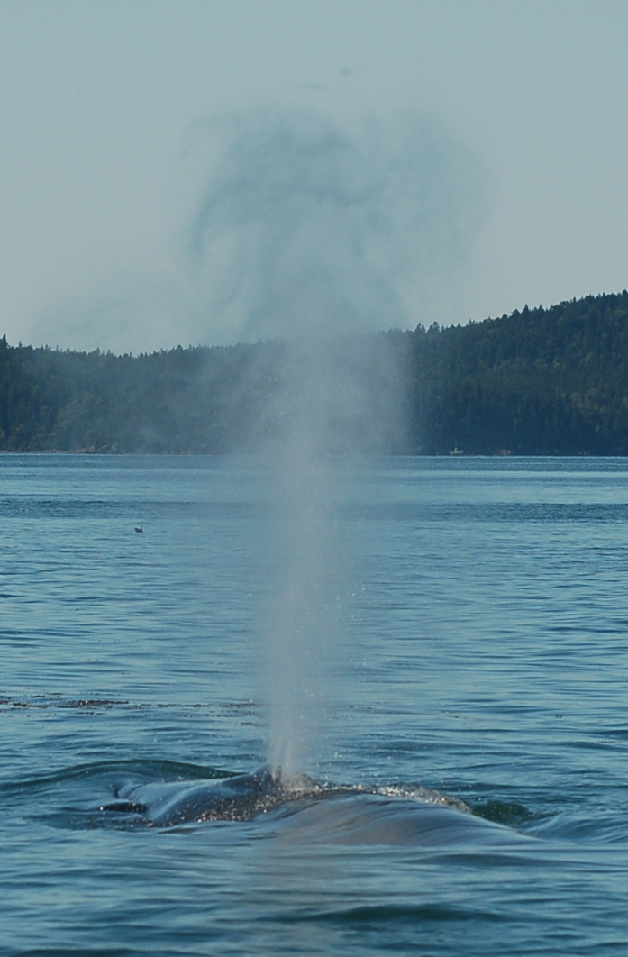 [DSC_9870.JPG]