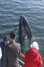 [MOV002-9+001_0001.jpg]