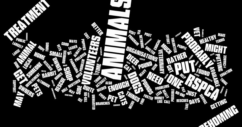 RSPCA Cambridge Wordle Word Cloud