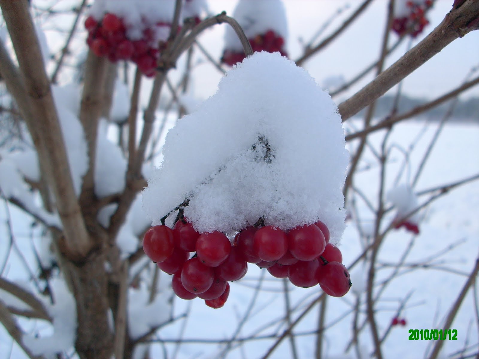 [IMG_4930.JPG]