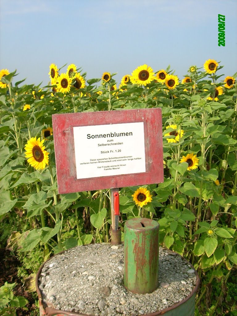 [IMG_3714.JPG]