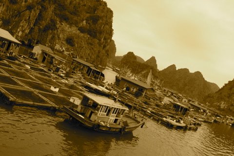 [IMG_4386.JPG]