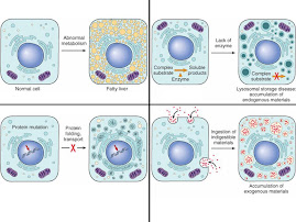 Degeneraciones y depósitos intracelulares
