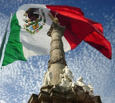 Mexican Flag