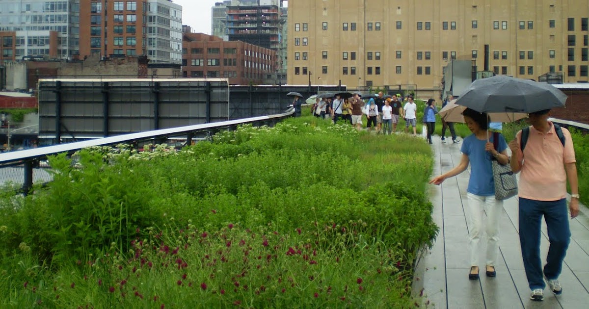 New York's High Line garden is a masterclass in urban regeneration