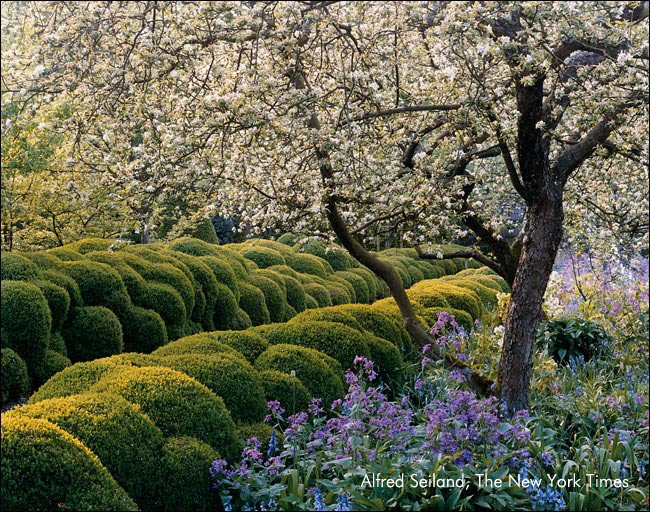 Wirtz Garden
