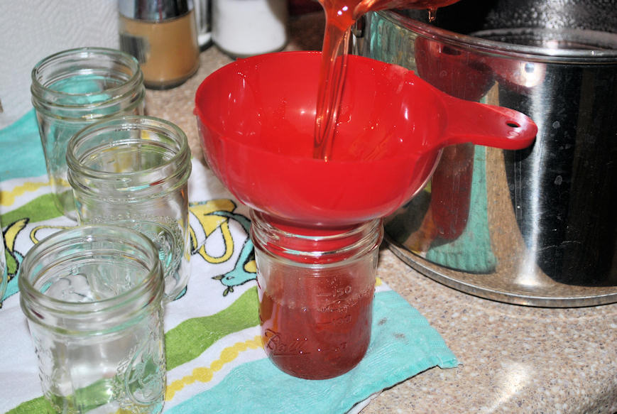 Colby Lane Designs strawberry lemonade jelly