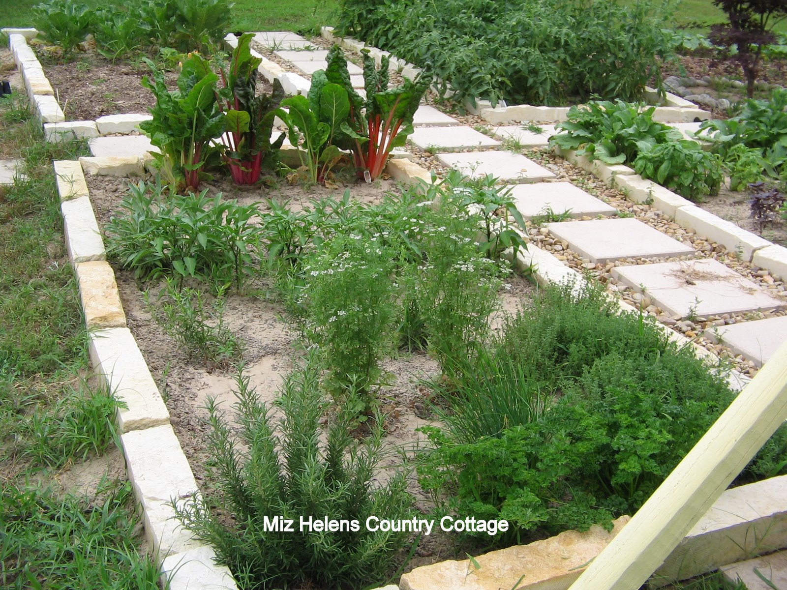 What About All Those Herbs Part One