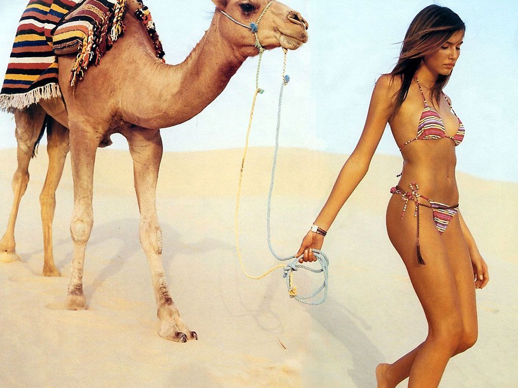 [Lujan-Fernandez-17.JPG]