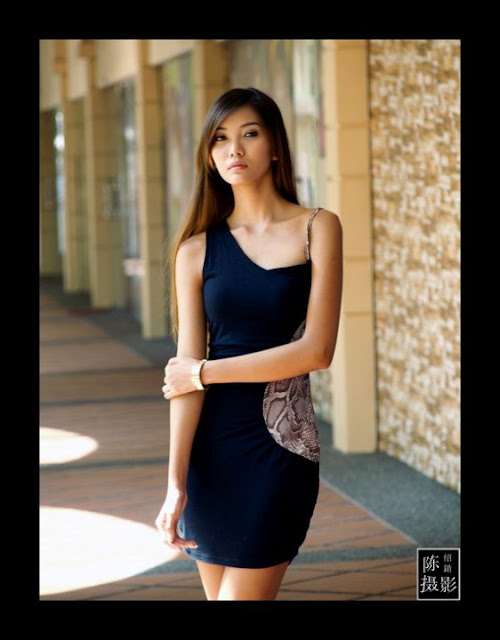 Myanmar Model From Singapore