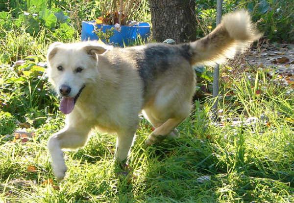 [Simba_StTirso1.jpg]