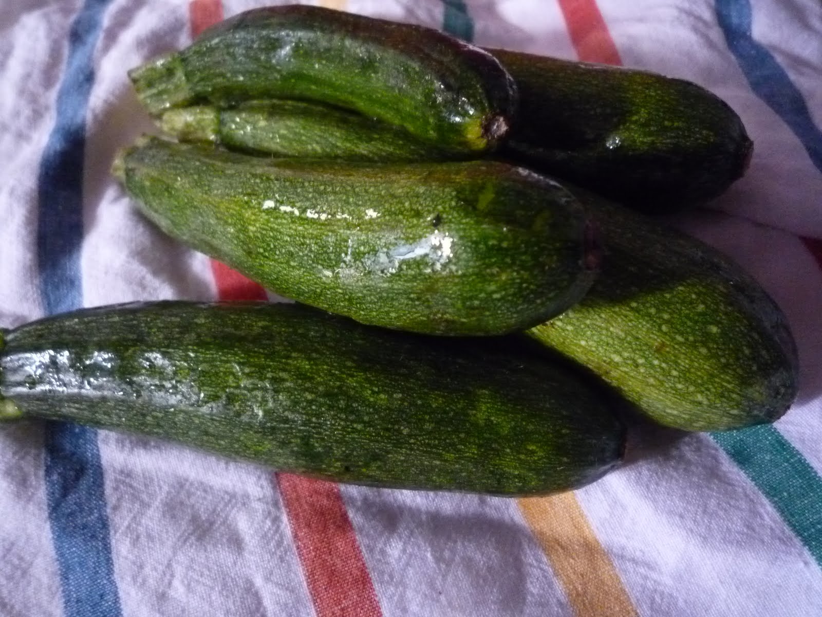 conservation des courgettes