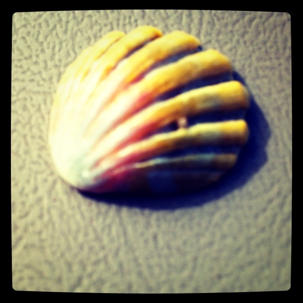 double sunrise shell
