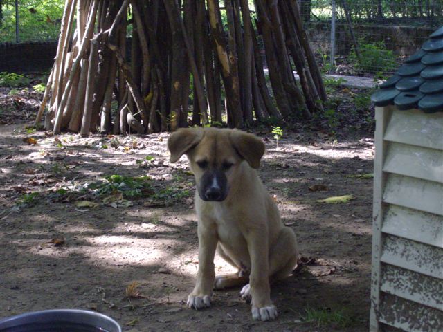 [IMGP0754.JPG]