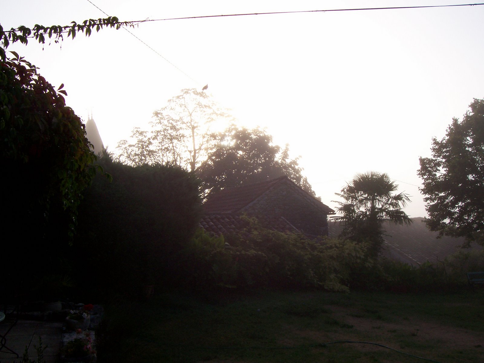 [100_0998.JPG]
