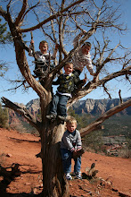 Our Family Tree!