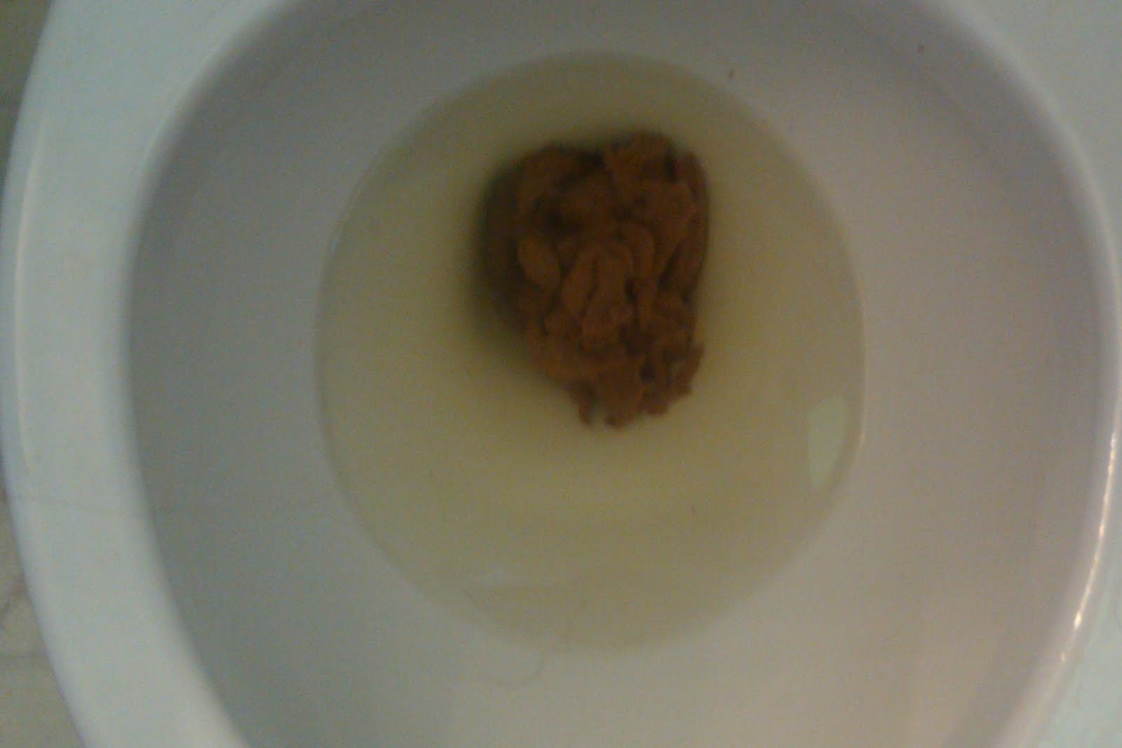 Bristol Chart Interesting front row