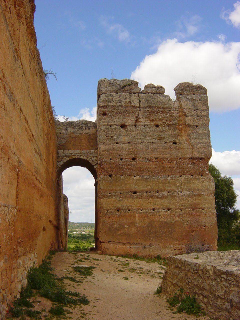 [DSC00681.JPG]