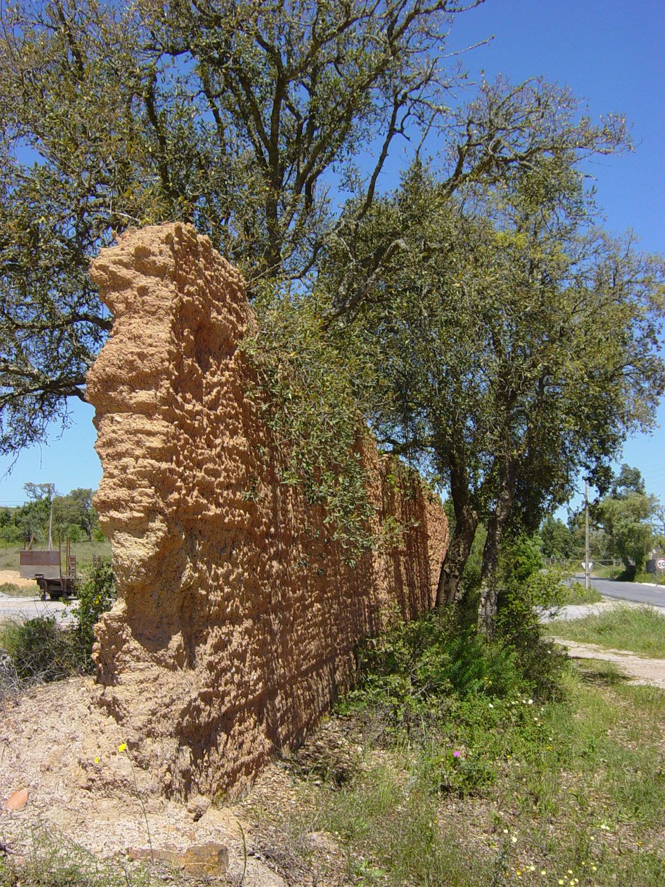 [DSC00724.JPG]