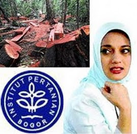 Marissa Haque dalam Pemeranytasan Illegal Logging di Riau