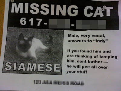 Lost Cat Poster