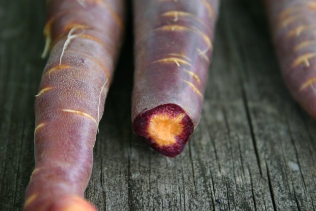 [purple-carrot-innards.jpg]
