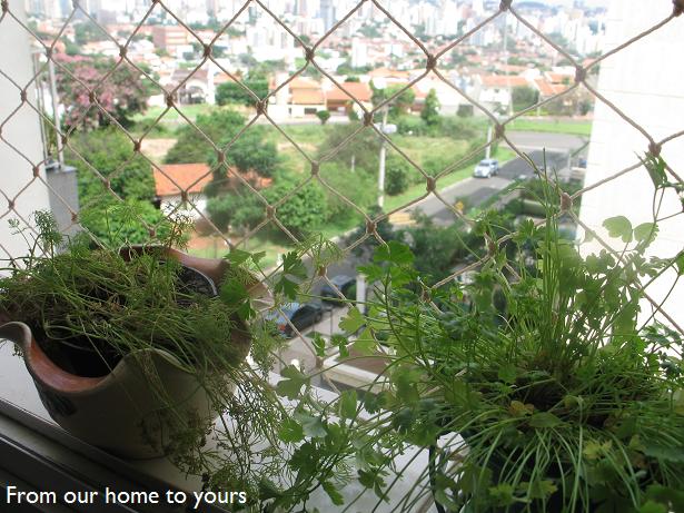 [Herbs+001edited.JPG]