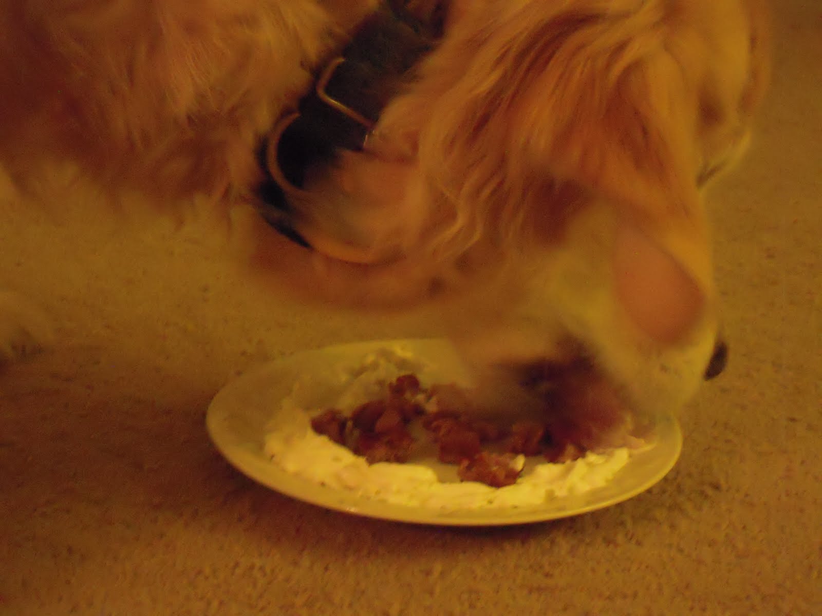 Happy Birthday Sierra